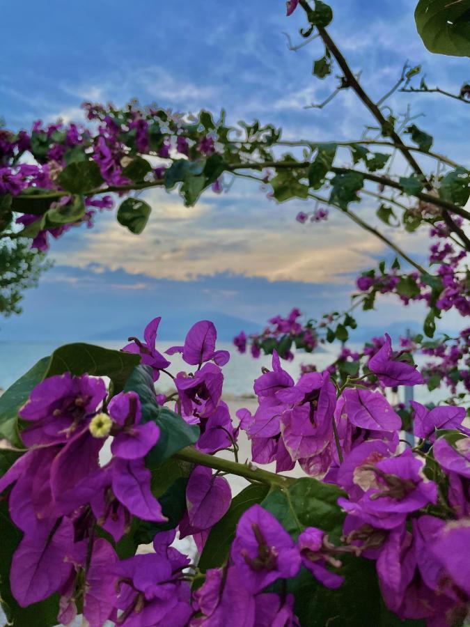 Du Lac Aparments Desenzano del Garda Buitenkant foto